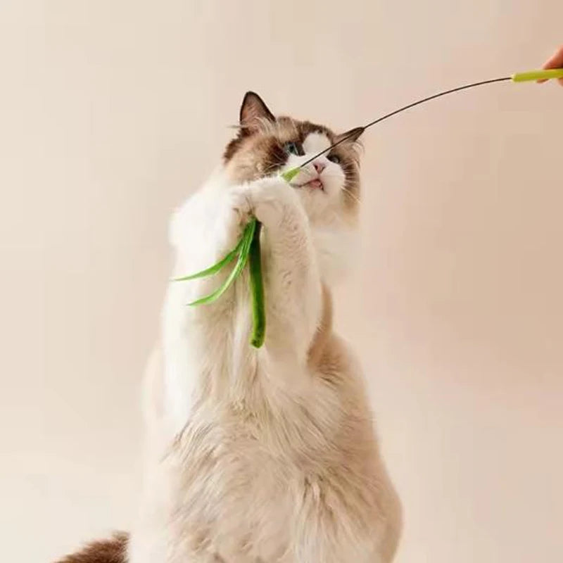 Jouet Interactif pour Chat à la Plume