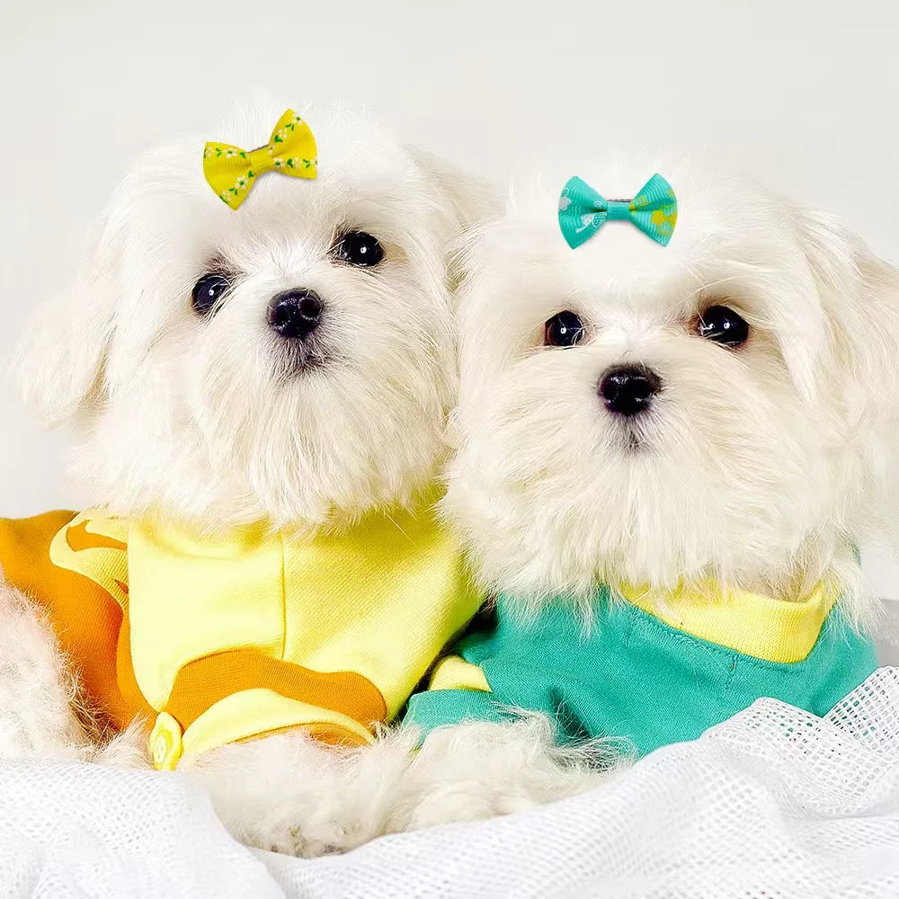 Pet Hair Bow Clips for Dogs and Cats