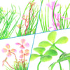 Watercolor illustration of various aquatic plants including pink and green foliage.