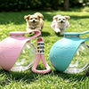Pink and teal foldable travel pet water bottles with hooks lying on green grass near small puppies