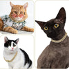 Luxus-Hundehalsband mit Strass und Cubano-Kette