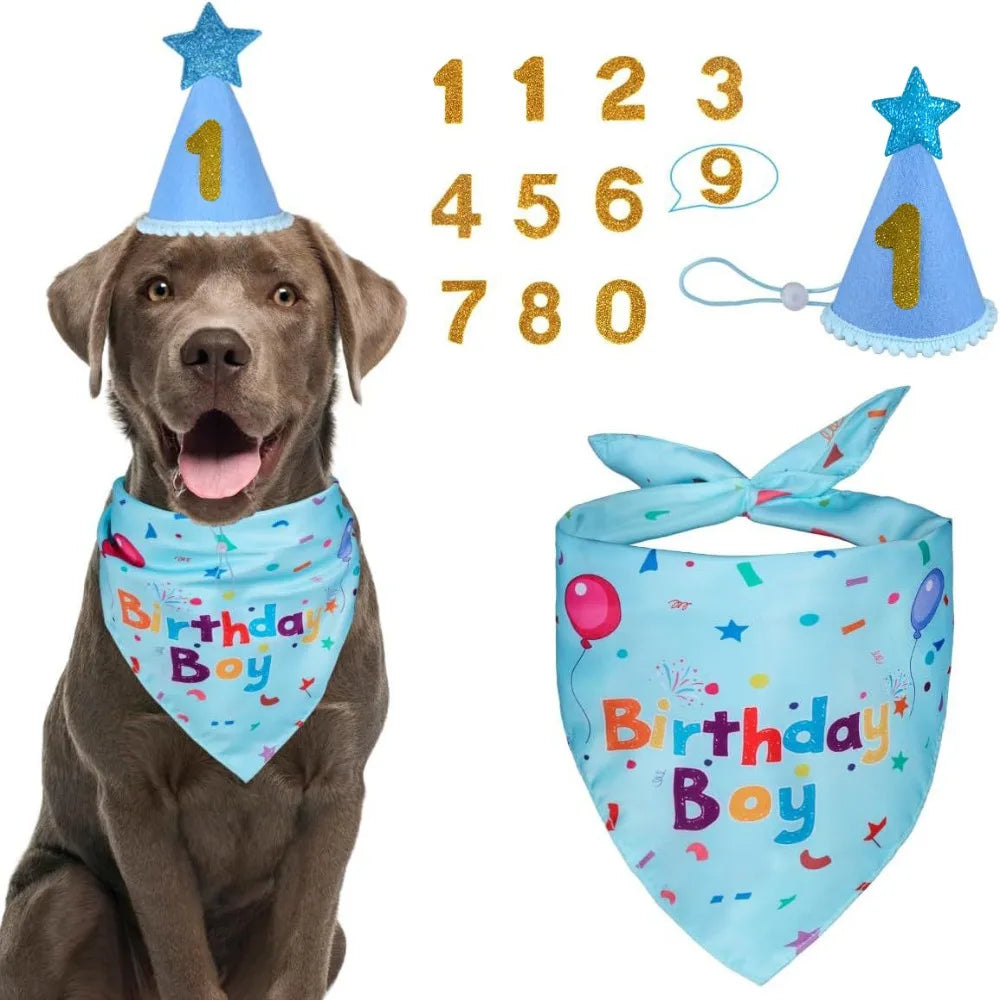 A brown dog wearing a light blue birthday bandana and a set of gold numbered party hats.