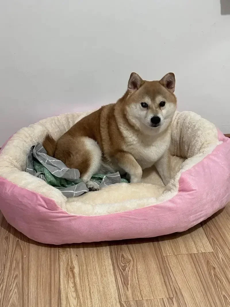 Cozy Plush Dog Bed with Soft Cotton Cover