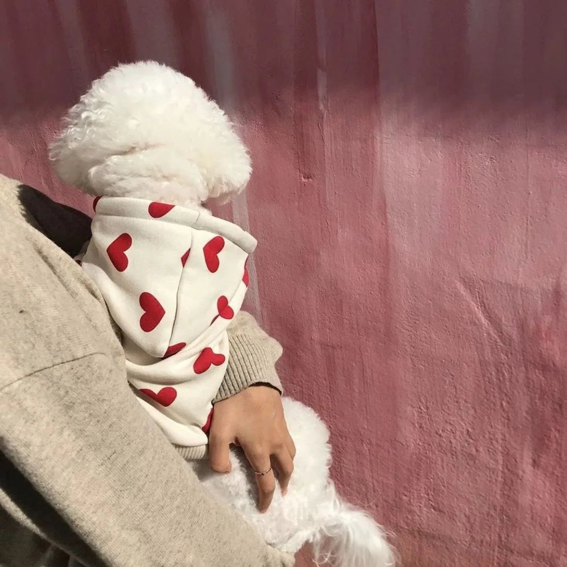 Ein flauschiger weißer Teddybär mit Herzmuster-Hoodie wird von einer Person vor pinkem Hintergrund gehalten.