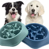 Slow Feeder Dog Bowl with Non-Slip Base