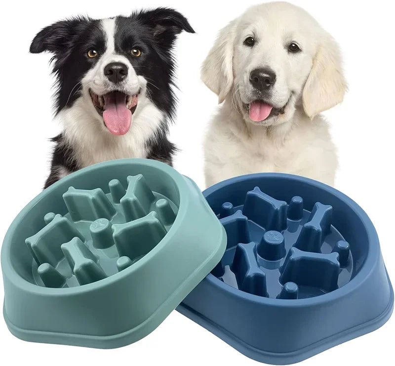 Slow Feeder Dog Bowl with Non-Slip Base