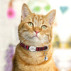 Personalisierte Katzenhalsband mit gedrucktem Design und graviertem ID-Anhänger