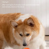 Interaktiver smarter Hundespielball
