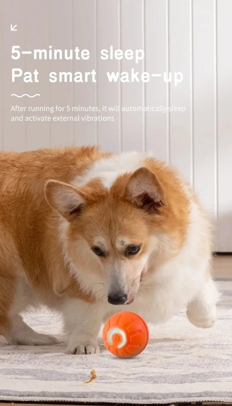 Interaktiver smarter Hundespielball