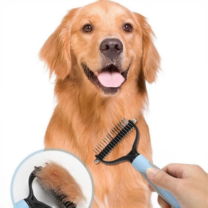 A golden retriever dog is shown with a hand holding a black and blue stainless steel pet detangling comb.