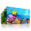 Aquarium 3D Background Sticker Poster for Fish Tank