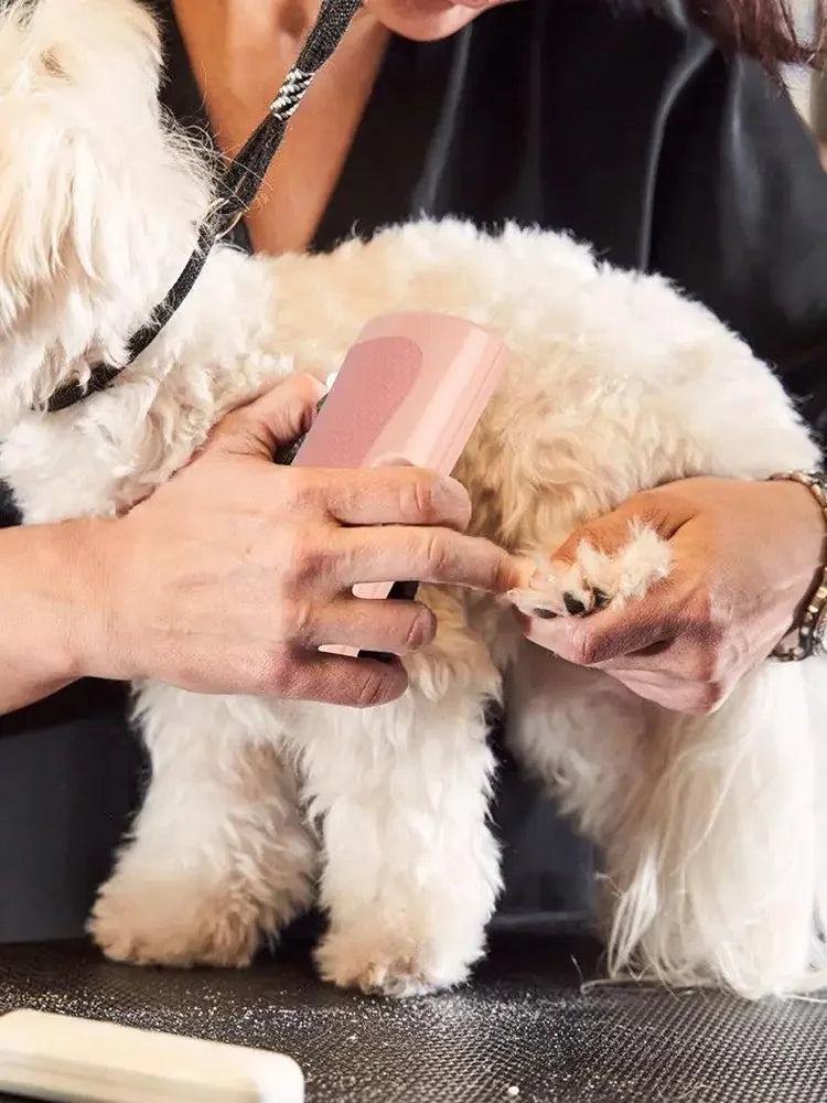Cepillo Deslanador Ergonómico para Mascotas
