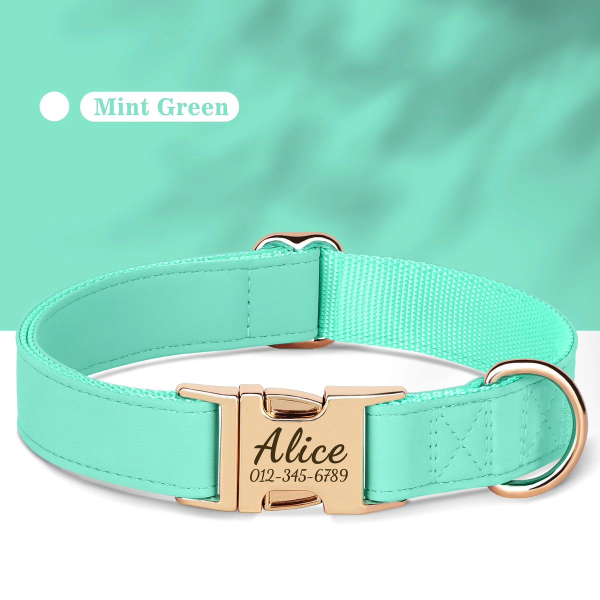 Mint green leather dog collar with a gold nameplate engraved with the name Alice