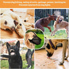 Un bozal de malla suave para perros mostrado en varios contextos, incluyendo en un perro y junto a otros perros.