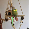 Adjustable Parrot Harness and Leash Set for Small Birds