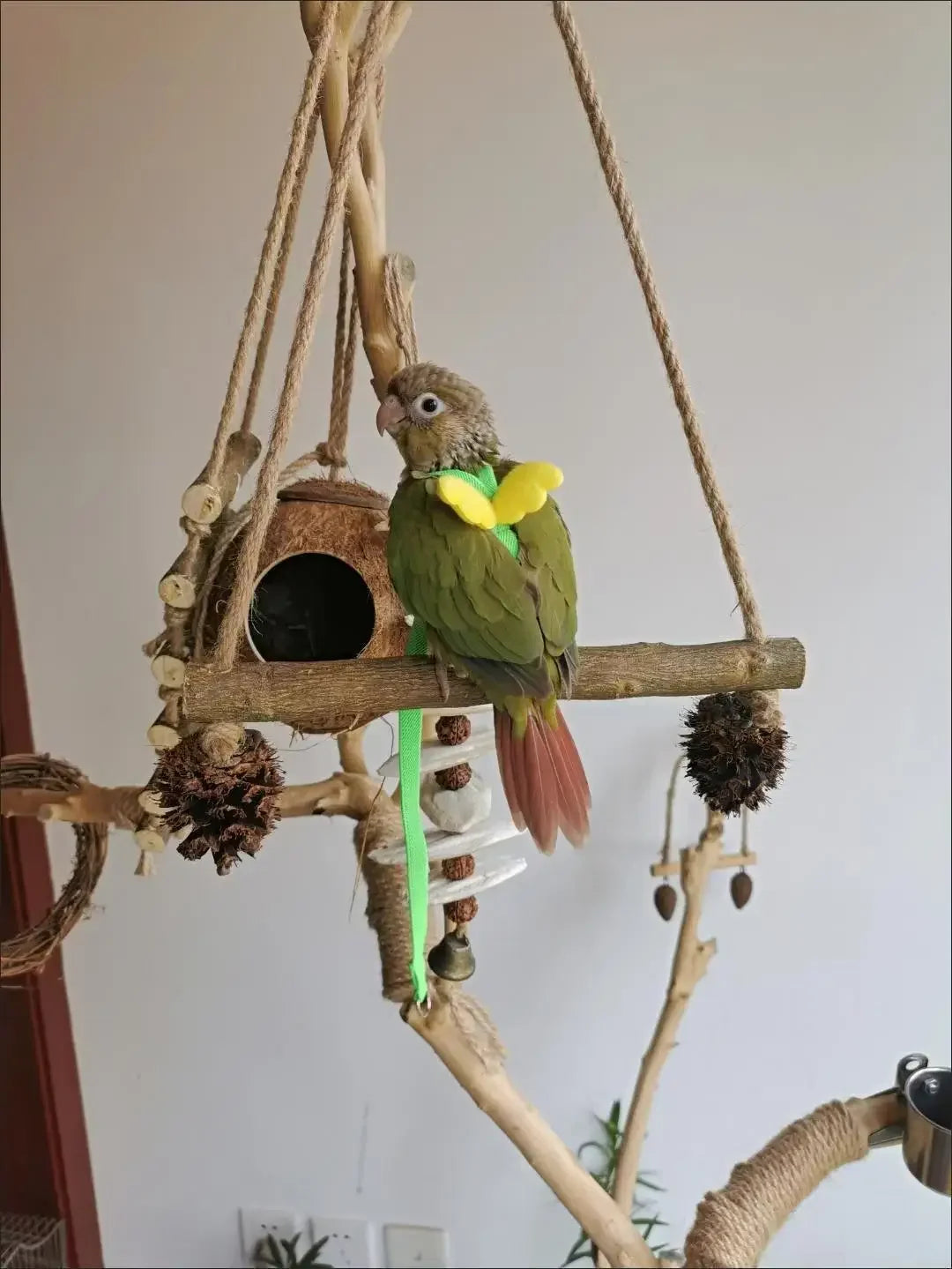 Adjustable Parrot Harness and Leash Set for Small Birds