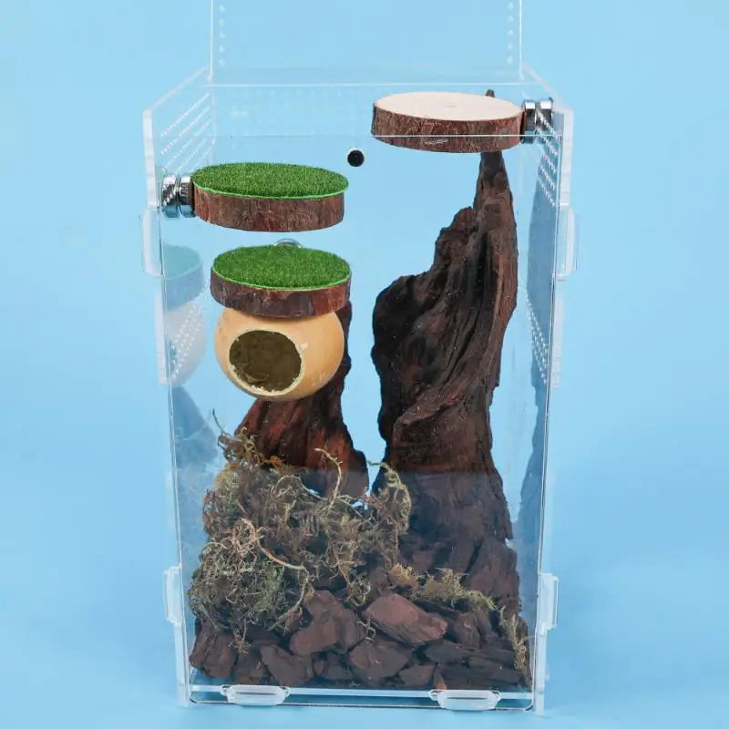 Magnetic Spider Hide Cave for Jumping Spider Enclosures