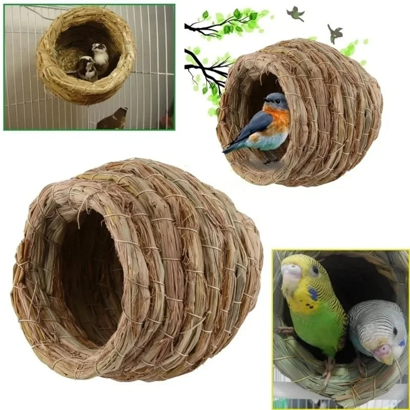 Nid d'oiseau en paille naturel tissé à la main avec des oiseaux à l'intérieur et à l'extérieur