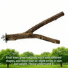 Natural Wood Forked Bird Perch for Small Parrots