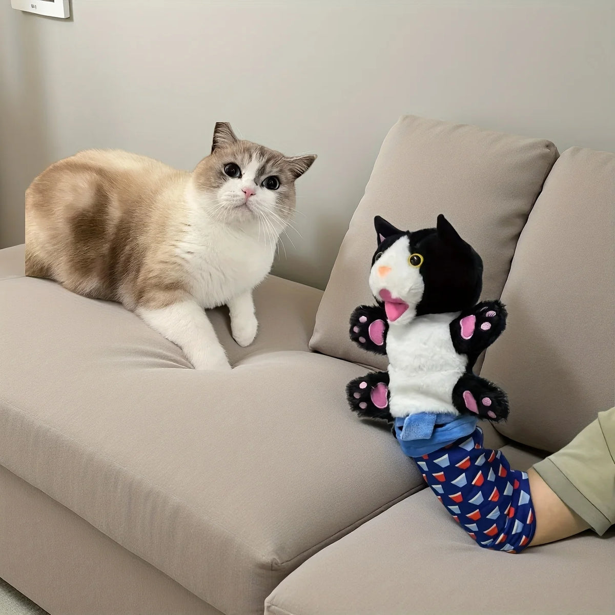 A fluffy gray and white cat sits next to an interactive cat wrestling toy with poseable limbs.