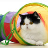 Foldable Interactive Cat Tunnel Toy