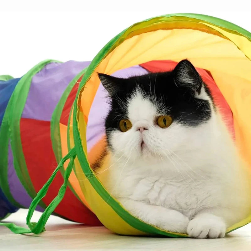 Foldable Interactive Cat Tunnel Toy