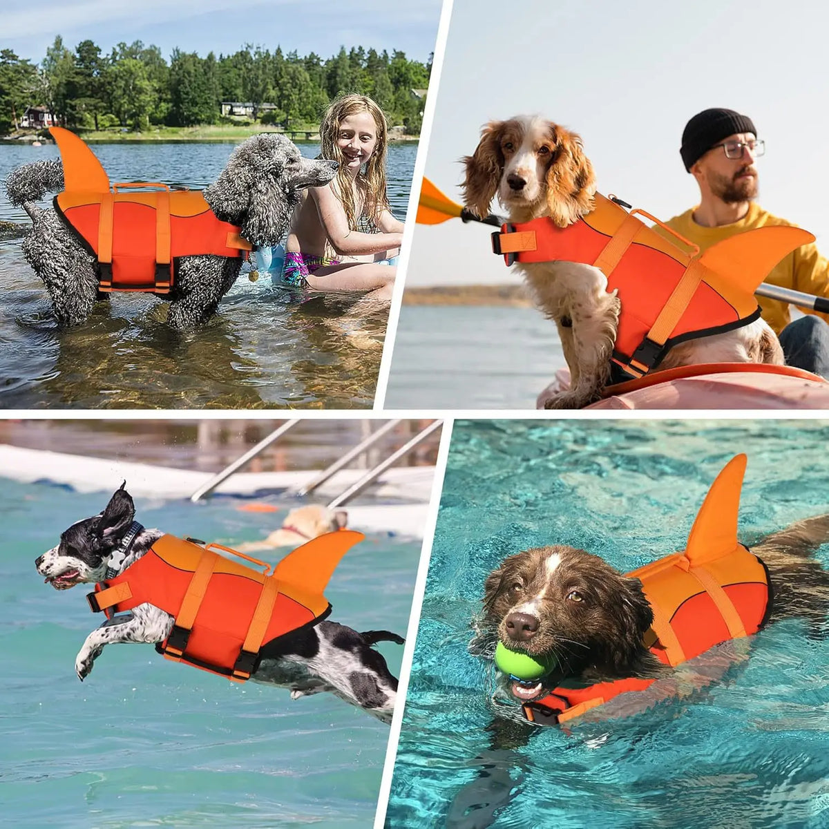 Orange dog life jackets for swimming used by dogs in water and on land