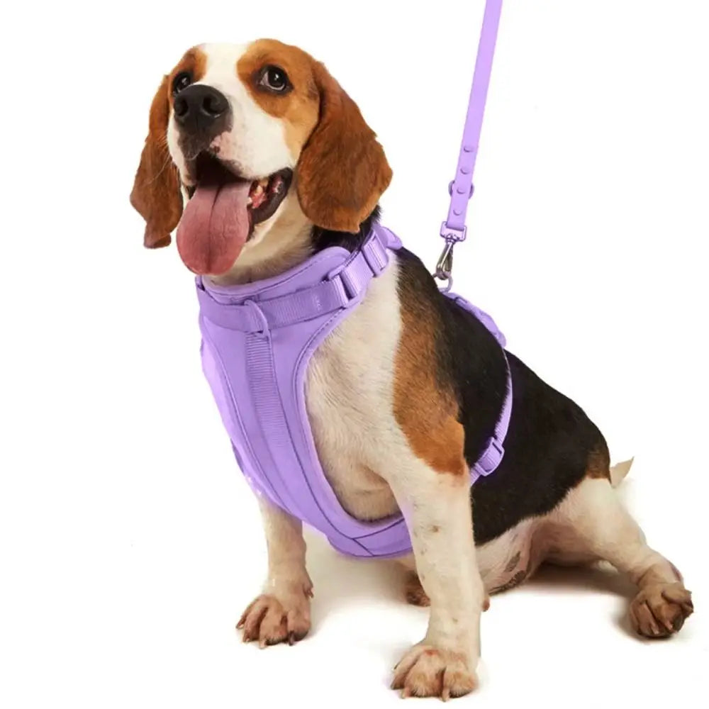 A dog wearing a purple reflective harness vest while sitting.