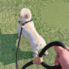 Robbe, verstellbare Nylon-Hundeleine
