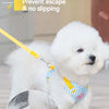 Striped Color-Block Dog Harness with Matching Leash