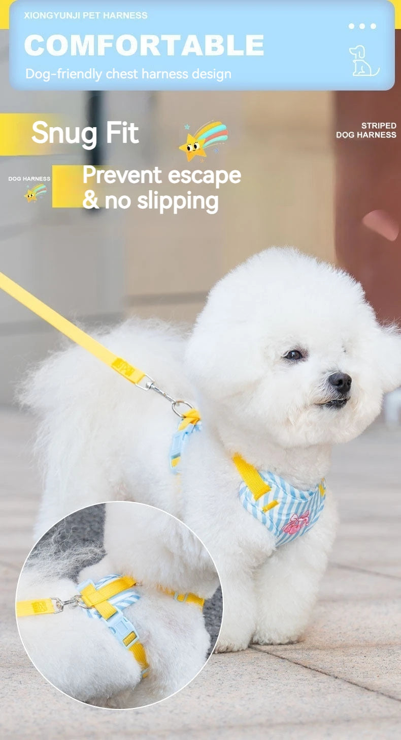Striped Color-Block Dog Harness with Matching Leash