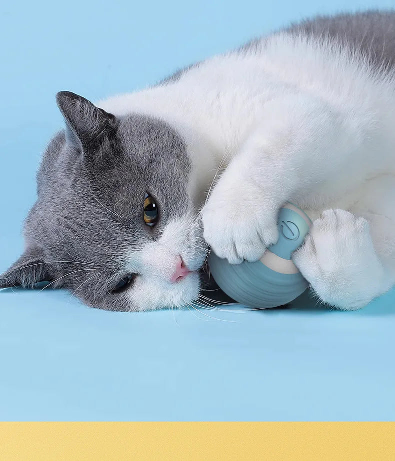 Eine grau-weiße Katze interagiert mit einer hellblauen smarten, rollenden Spielball.