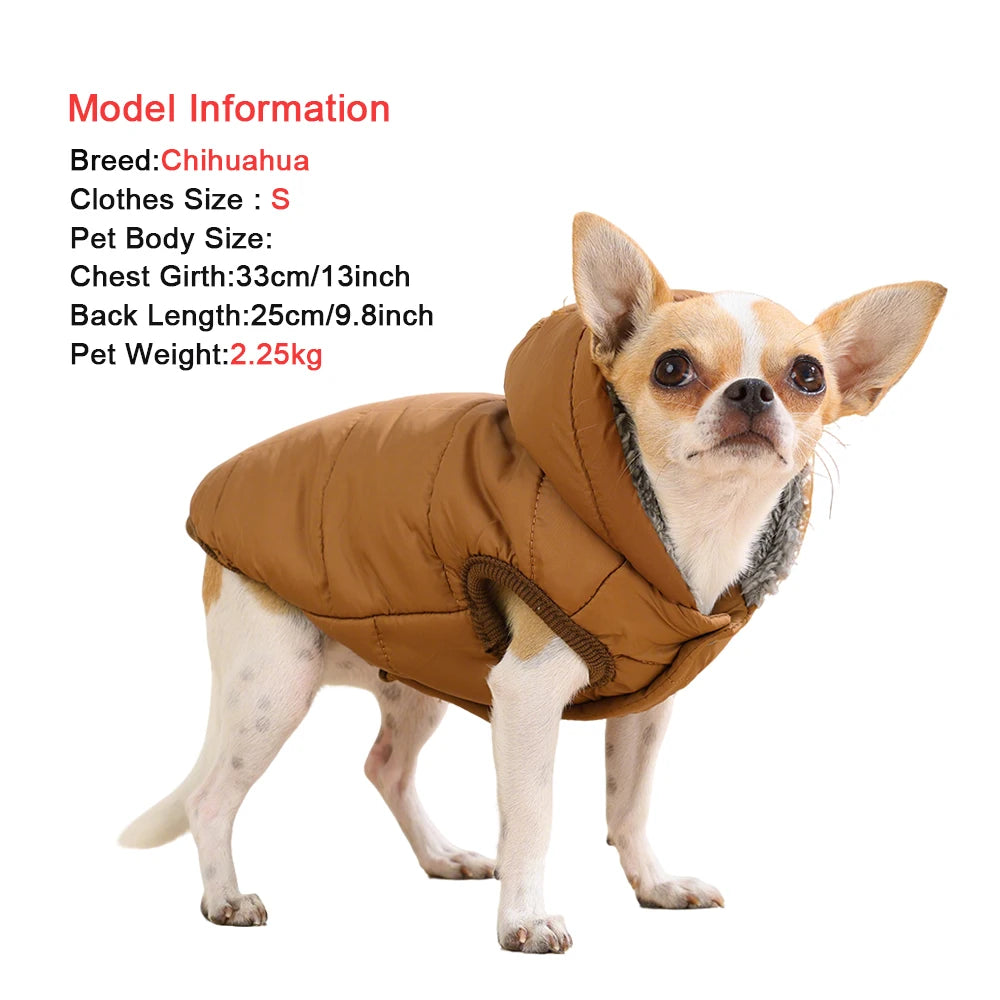 A small Chihuahua dog wearing a brown waterproof hooded jacket with a fleece lining.