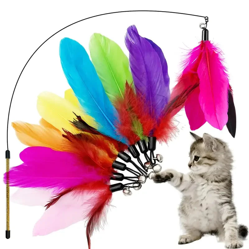 A colorful feather wand toy with multiple colored feathers and worm refills, being held by a kitten.