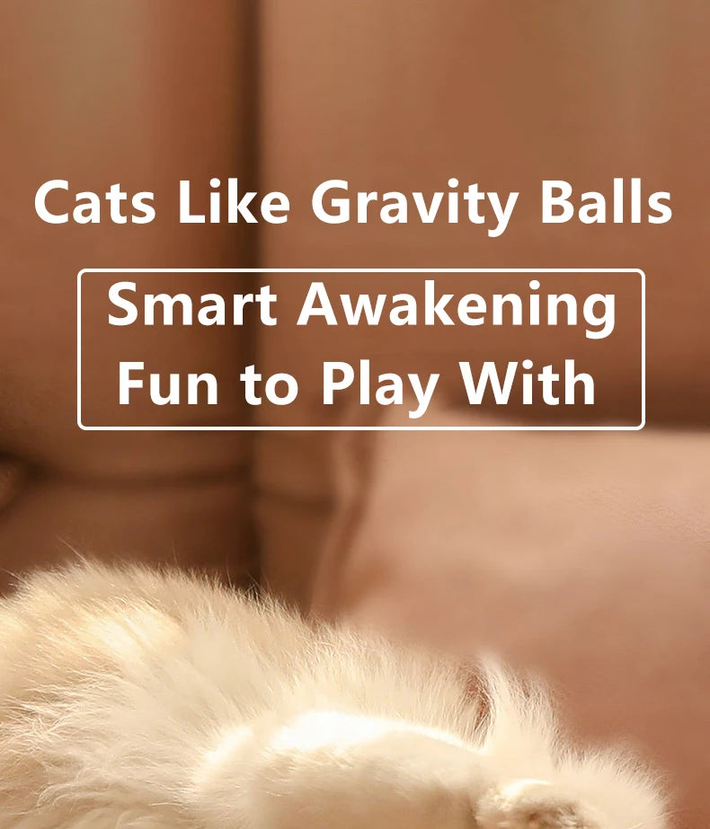 Ein flauschiger Kater im Vordergrund, der ein intelligentes, aufwachendes Spielzeug für Katzen suggeriert.