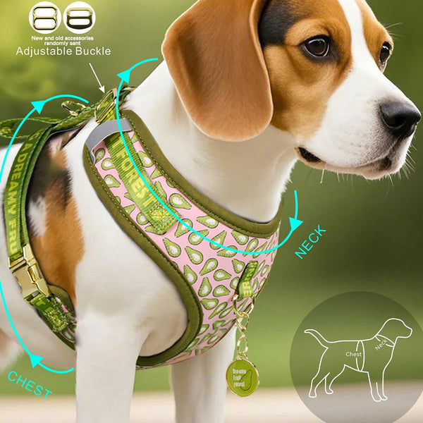 A dog wearing a green and pink patterned adjustable harness with an ID tag on its neck.