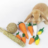 Natural Corn Husk Chew Toys for Small Pets – Carrot, Radish & Woven Ball Set