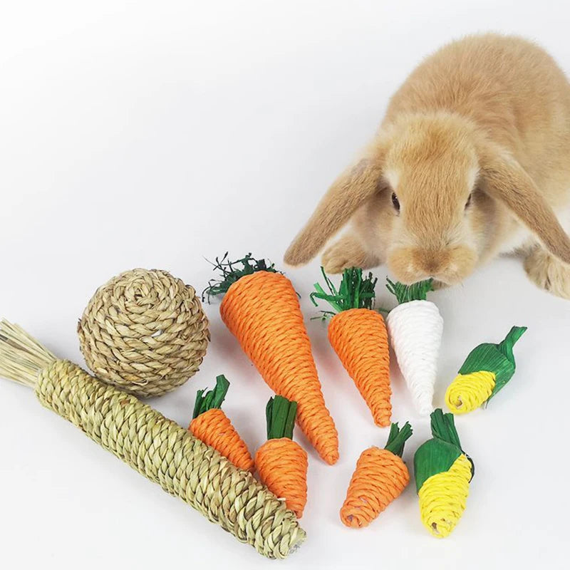 Natural Corn Husk Chew Toys for Small Pets – Carrot, Radish & Woven Ball Set