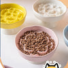Ceramic Elevated Cat Bowl with Slow Feeder Design