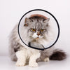 Collier de récupération ajustable pour animaux