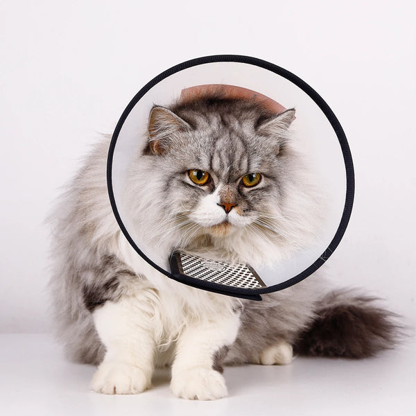 Elizabethan Collar for Pets - Recovery Protective Cone for Dogs and Cats