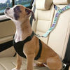 Adjustable Dog Car Safety Seat Belt with Elastic Bungee Buffer
