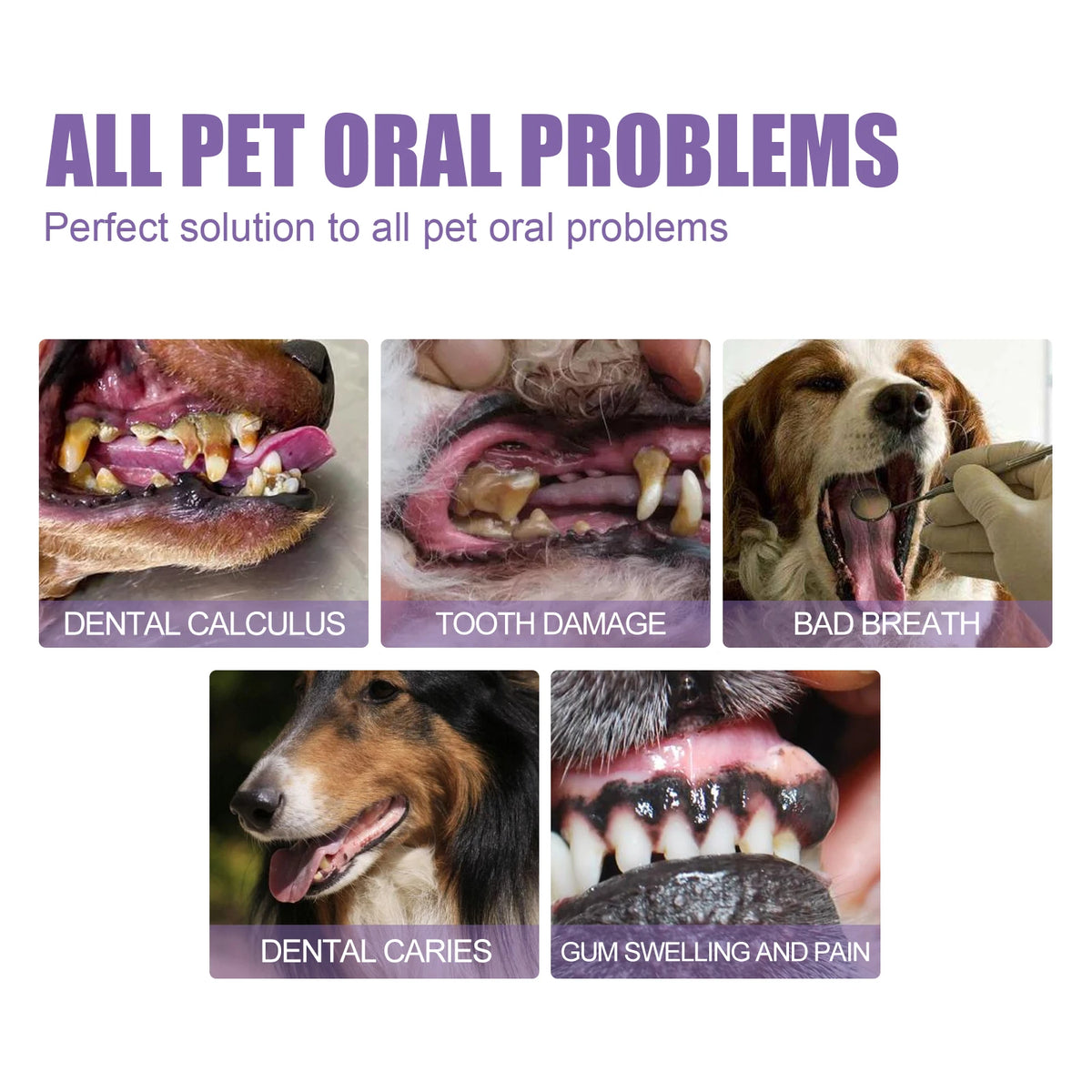 Easy-Apply Oral Care Gel for Dogs & Cats