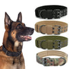 Heavy-Duty Nylon Dog Collar with Padded Lining and Metal Buckle