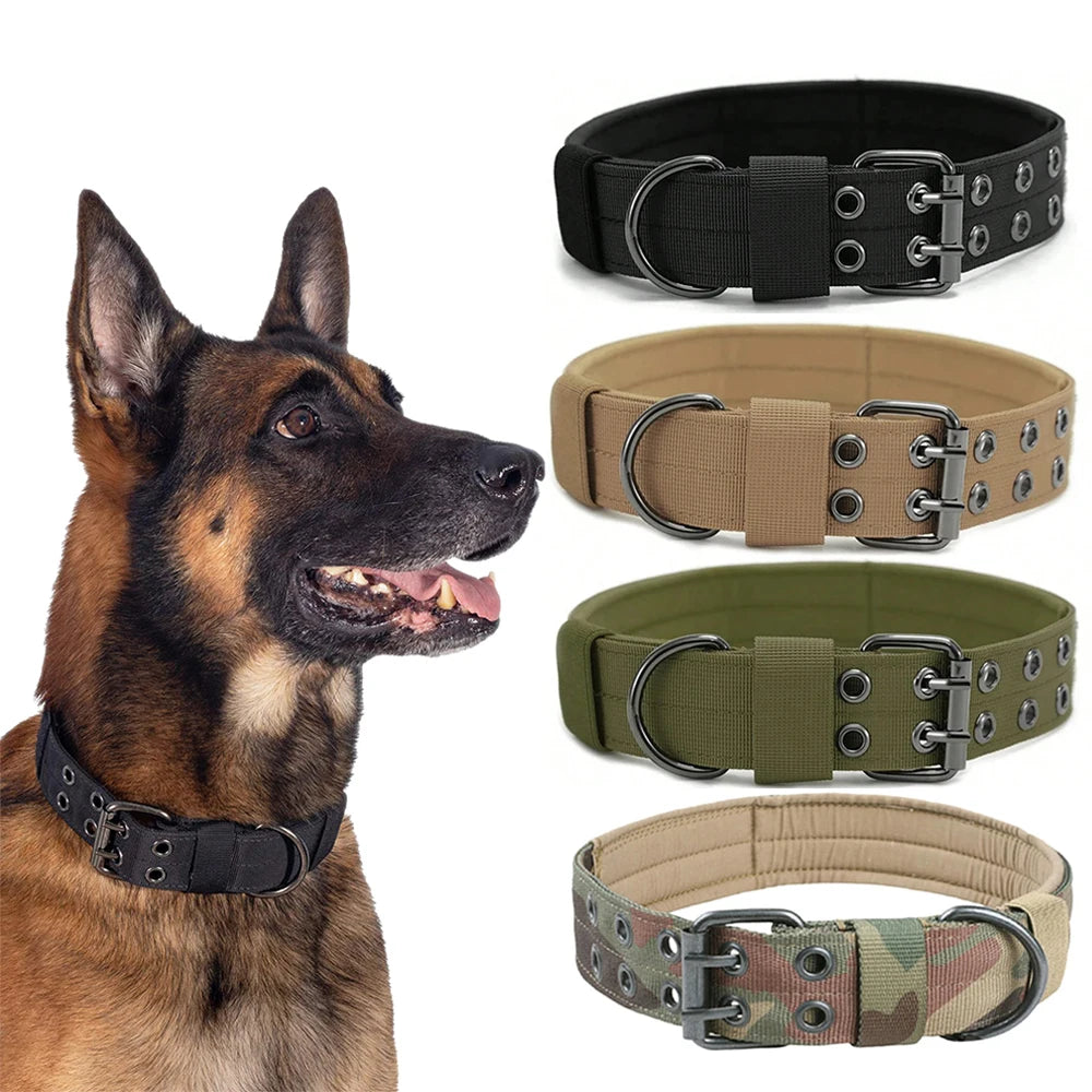 Heavy-Duty Nylon Dog Collar with Padded Lining and Metal Buckle