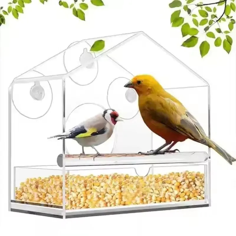 Clear Acrylic Bird Feeder with Suction Cup Window Mount