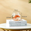Bassin Transparent en PET pour Poisson Betta