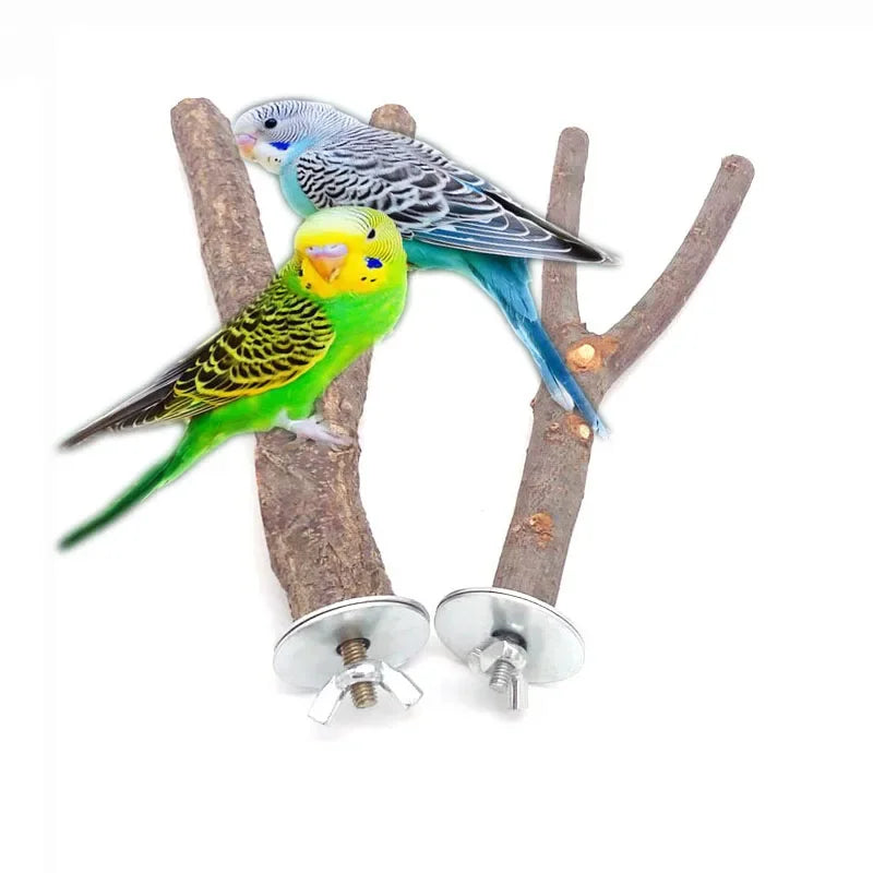 Dos pájaros coloridos posados en una rama de madera natural con herrajes metálicos.