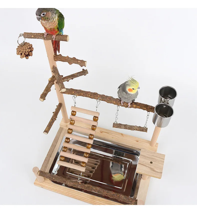 منصة ببغاء من خشب الفلفل مع جسر تأرجح وتسلّق