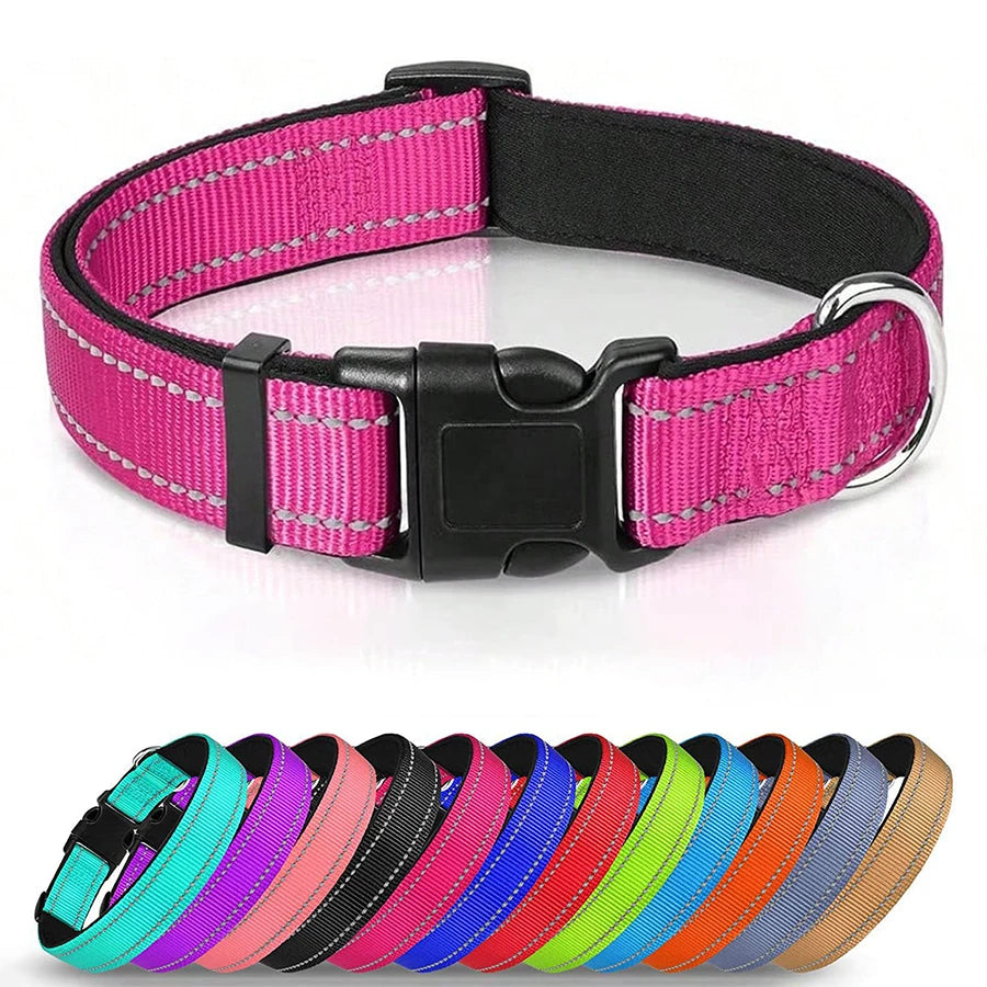 A variety of colorful reflective padded dog collars are displayed in a row.